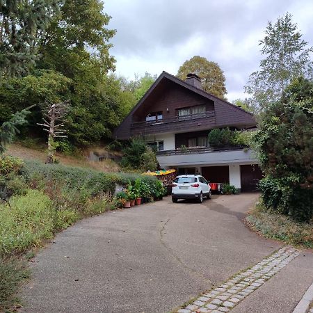 렌즈키르흐 Feldbergsicht 아파트 외부 사진